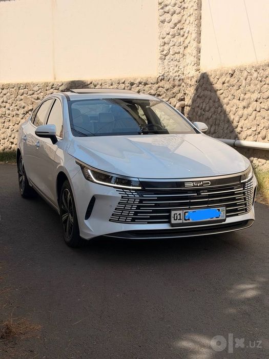 BYD chazor, comfort 120 km, hybrid, 2023, probeg 21500