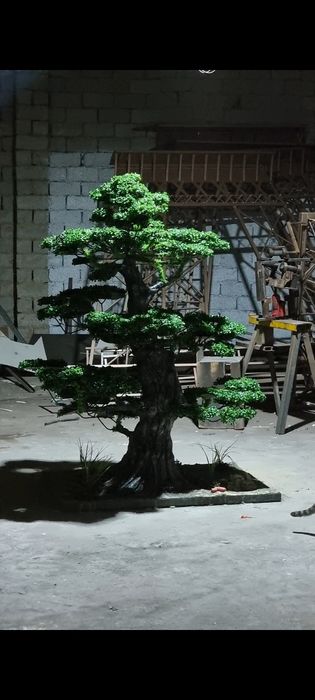 Bansay япон дарахти йасаб берамиз