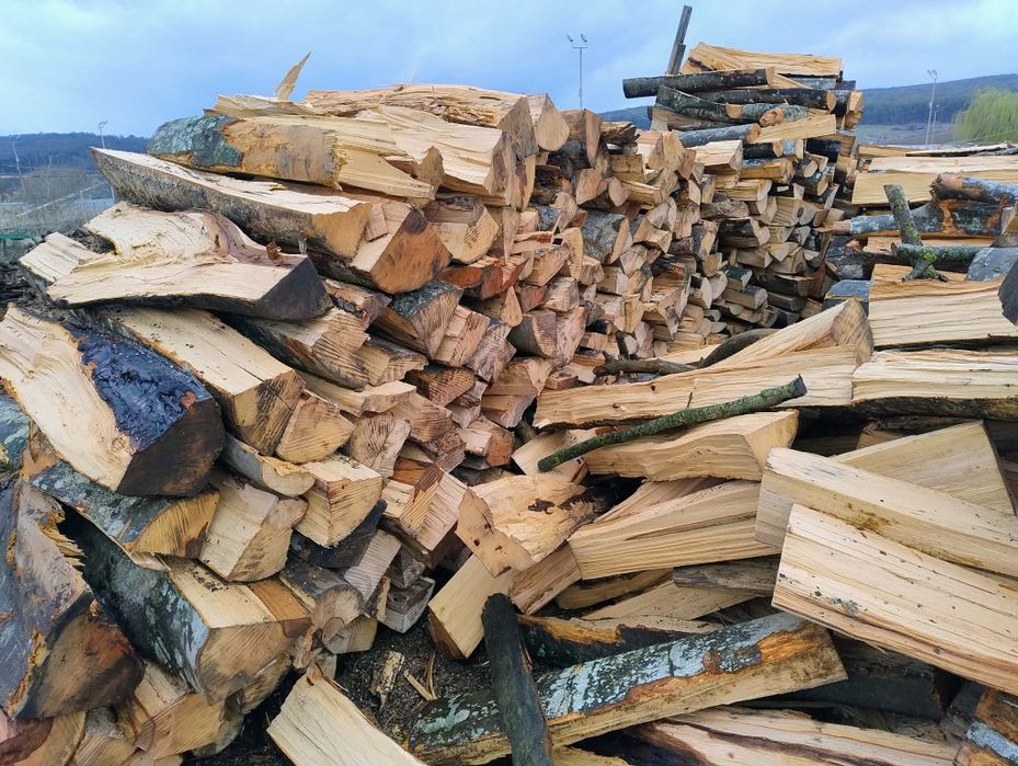 Vand lemne de foc esenta tare transport la  domiciliu