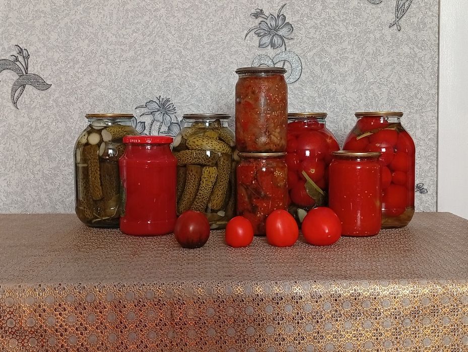 Теплица щарбакты