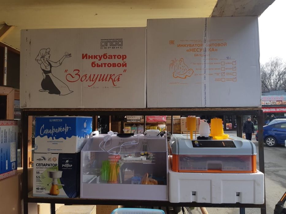 Инкубатор цифровой автомат