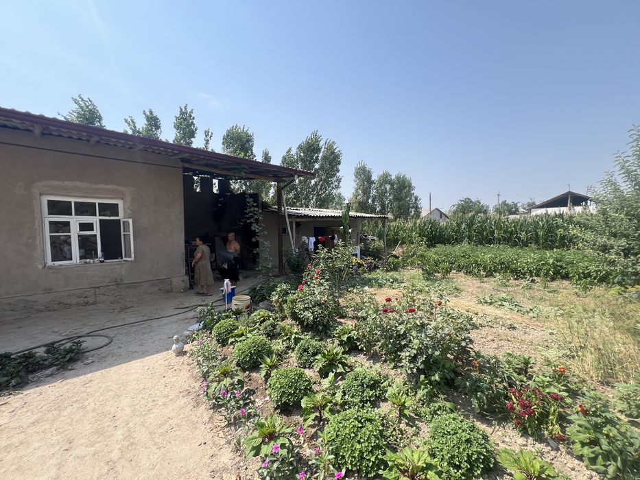 dala hovli uy sotiladi