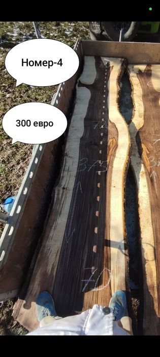 Големи янове орех