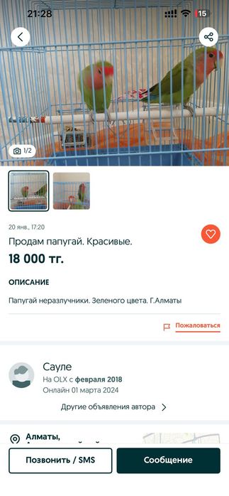 Попугаи и клетка вместе