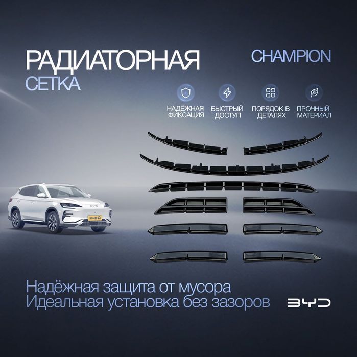 Радиаторная сетка для BYD Champion