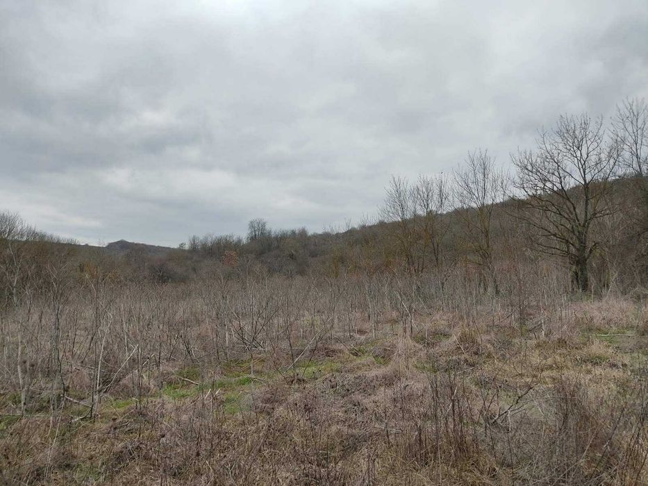 Продава се Къща в с. Краище, Област Добрич - 60 кв.м за 111 €/кв.м - Снимка #10