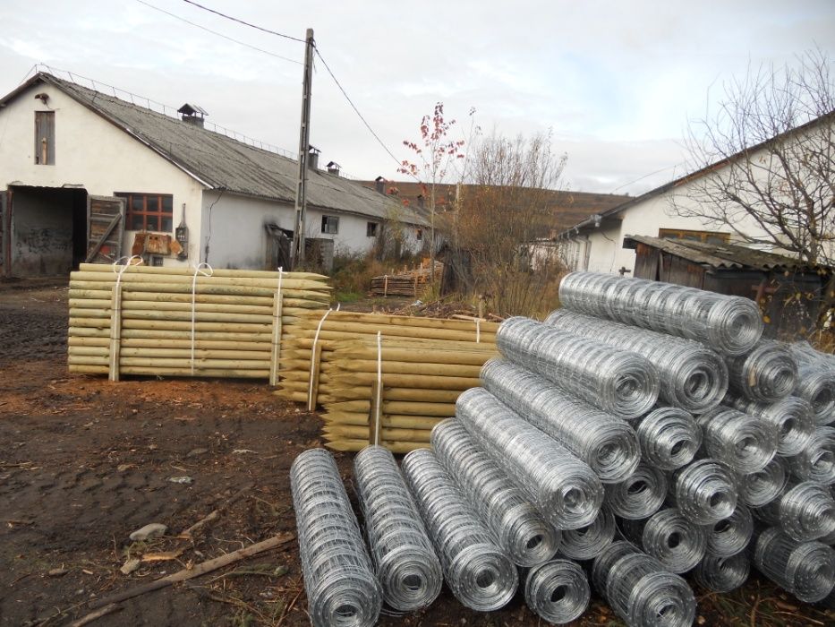 Stalpi de gard ascutiti si izolati