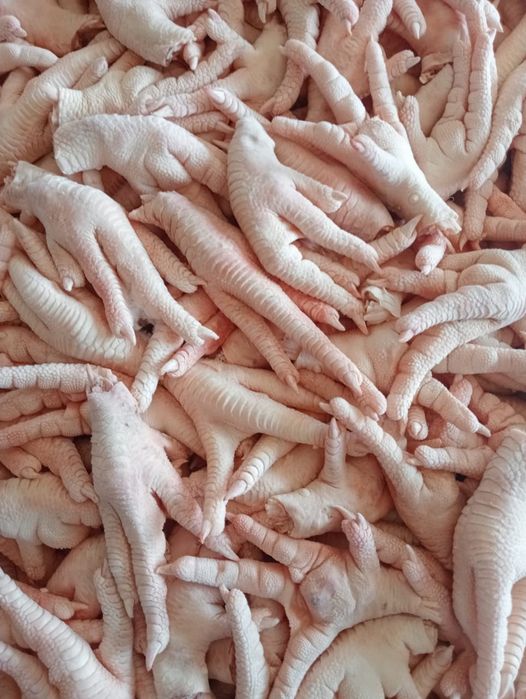 Куриные лапки. Paws