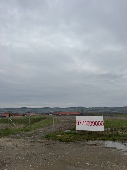 Teren intravilan 1,5 hectare – Nusfalau, lângă A3