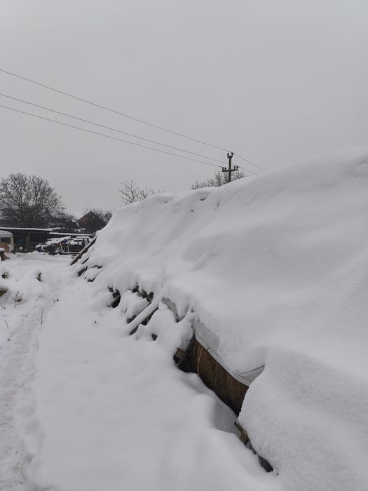 Vând baloți de fân și lucernă