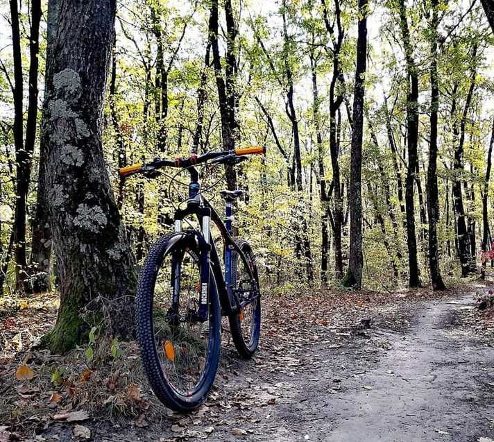 Bicicleta MTB Devron Riddle R7.7- Race Black, 27.5 Inch