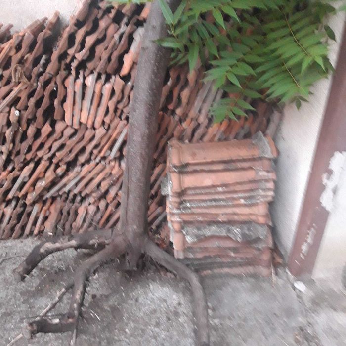 vand tigla Jimbolia model 265 cu sigla LEU