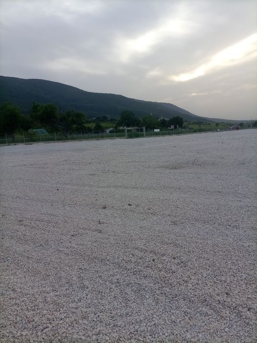 Дава се под наем Парцел в с. Мулдава, Област Пловдив - 6000 кв.м за 280.5 € - Снимка #2