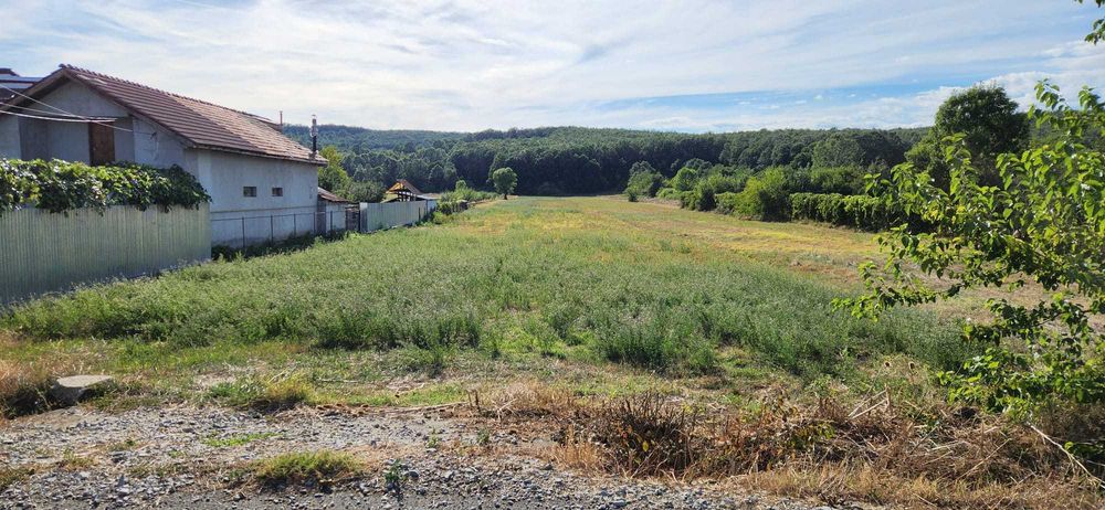 Teren intravilan Turcinești - Gorj