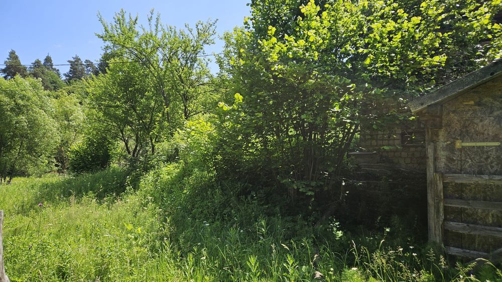 SITA BUZĂULUI – Proprietate deosebită cu teren intravilan 1.600 mp, pârâu, fâneață și pădure