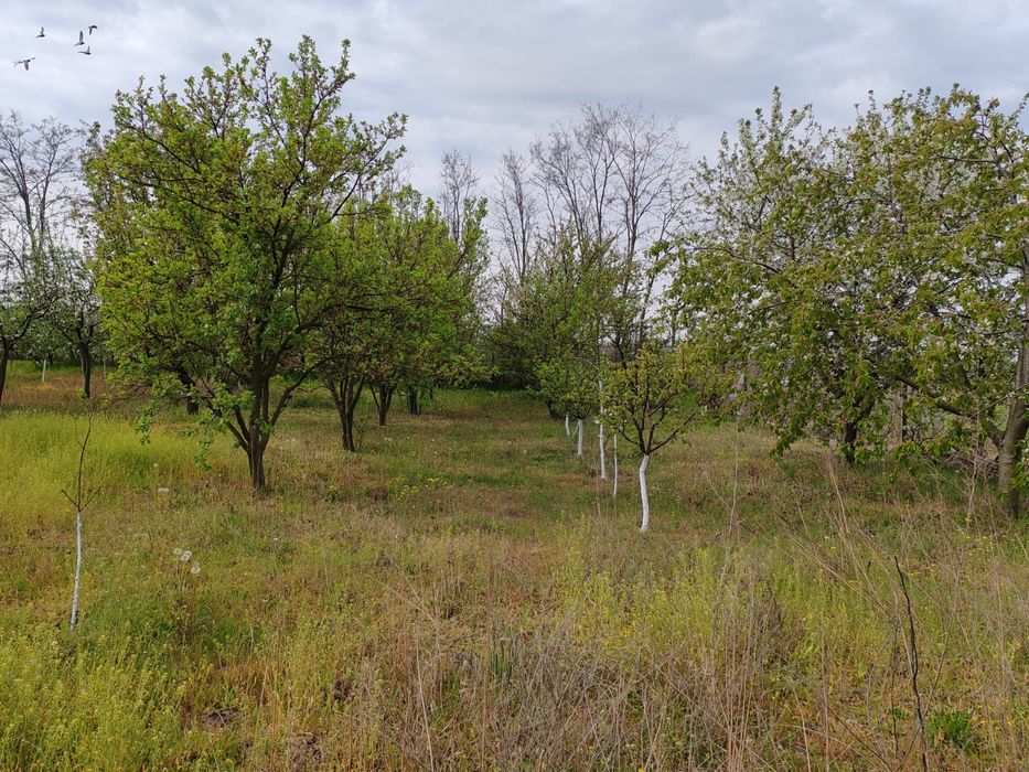 Vand , inchieiez casa gropeni