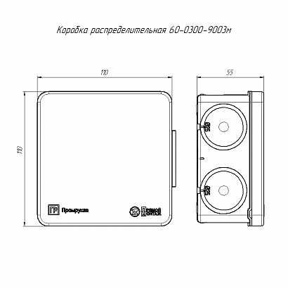 Коробка распределительная 100х100х50 IP66 (Промрукав)