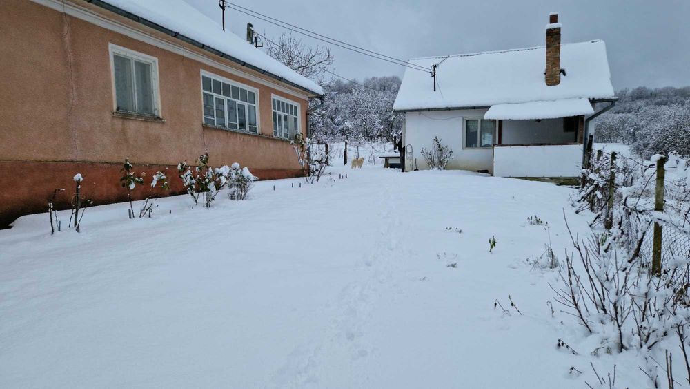 Vand casa cu anexe si teren