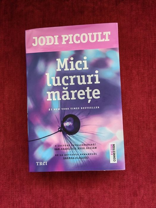 Jodi Picoult  Mici lucruri mărețe