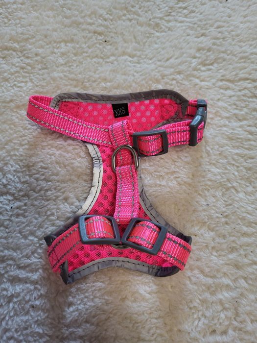 Zgarzi animale cu led