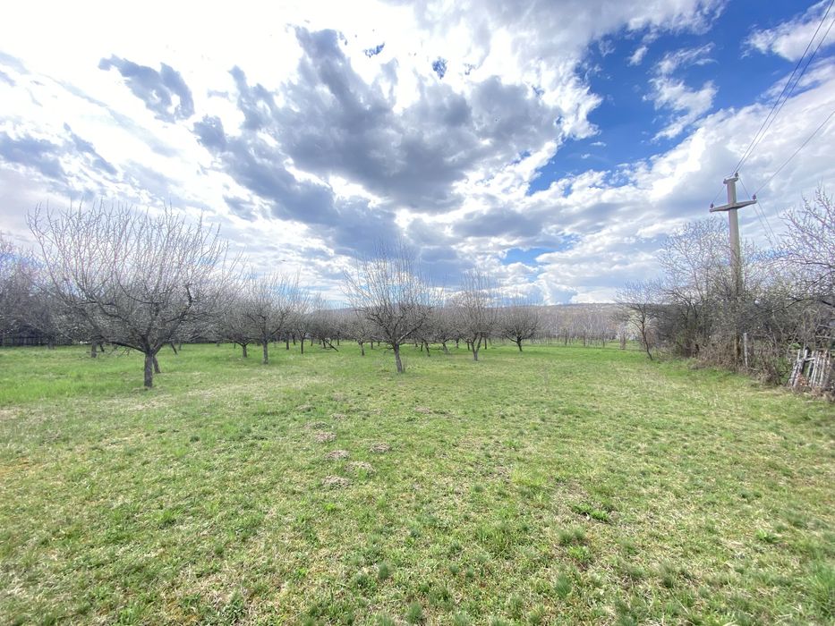 Teren intravilan ( 7000 mp )