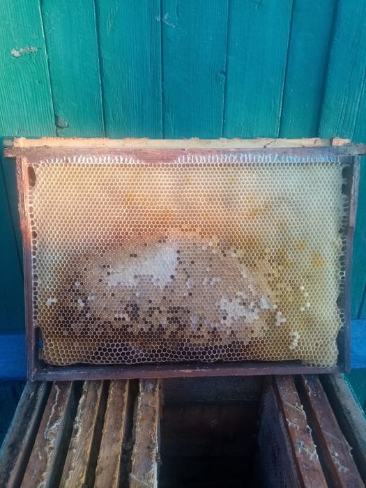 Продам улья и рамки