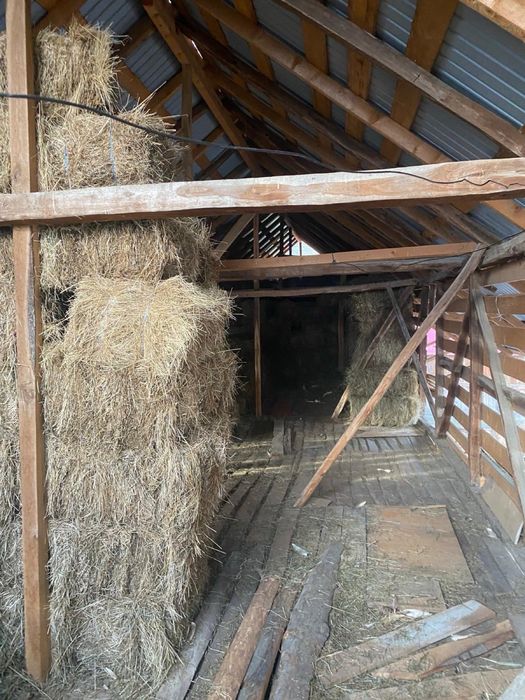 Vand baloti fan calitatea1 depozitati in conditii