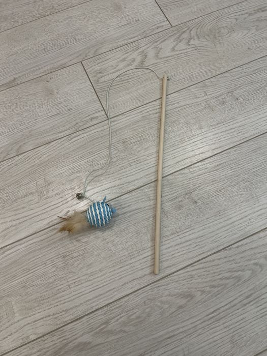 Отдам котёнка (девочку), чёрного окраса.