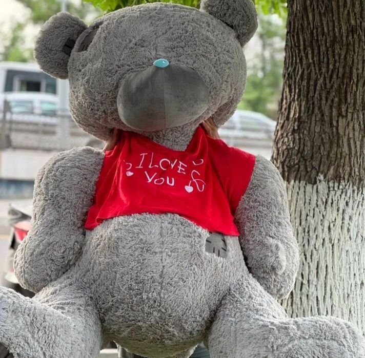 Teddy Тедди 30 sm dan 3 metrgacha