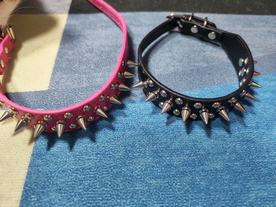 Продам два ошейника