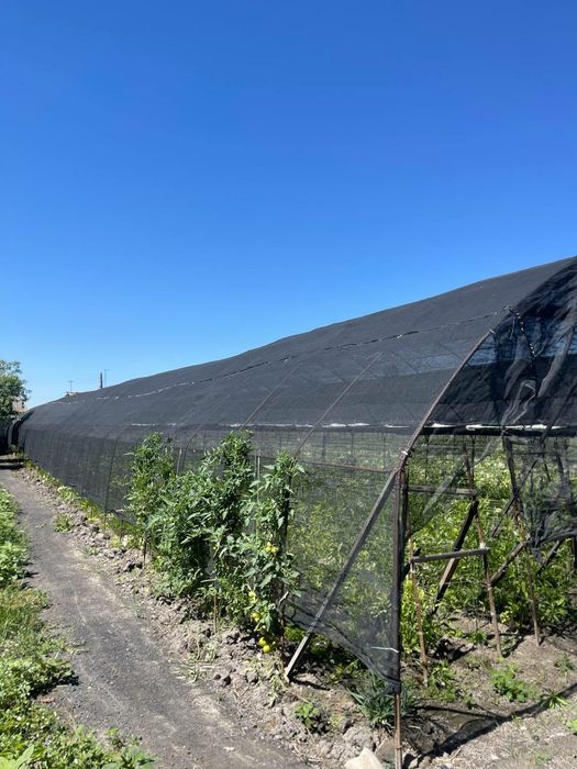 Dala. Xovli. Uy. Teplisa. Issiqxona