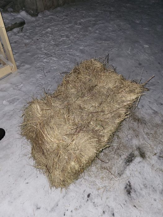 Продам сено (тюки)
