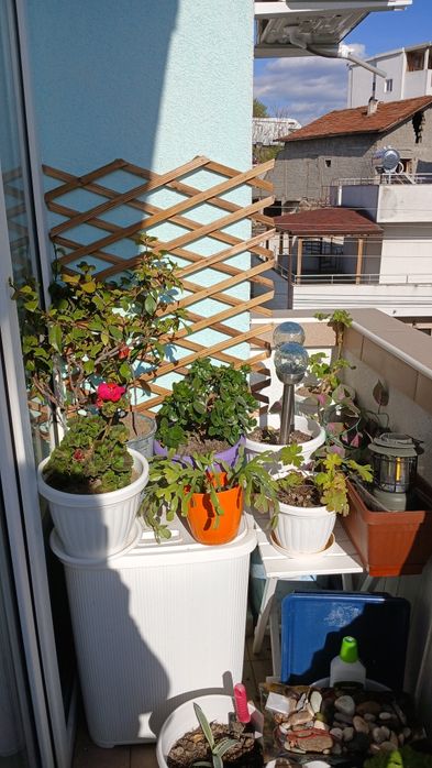 Продава се Двустаен апартамент в с. Поленица, Област Благоевград - 60 кв.м за 1250 €/кв.м - Снимка #6