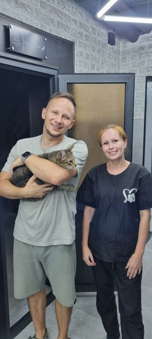 Профессиональная стрижка и вычес кошек салон ALIS GROOM на Юнусобаде