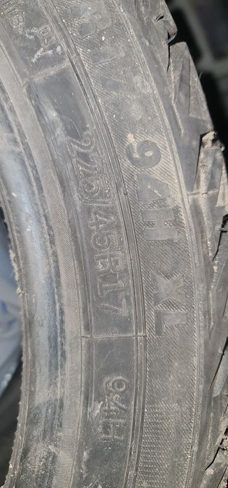 Резина 225/45/17 PREMIORRI