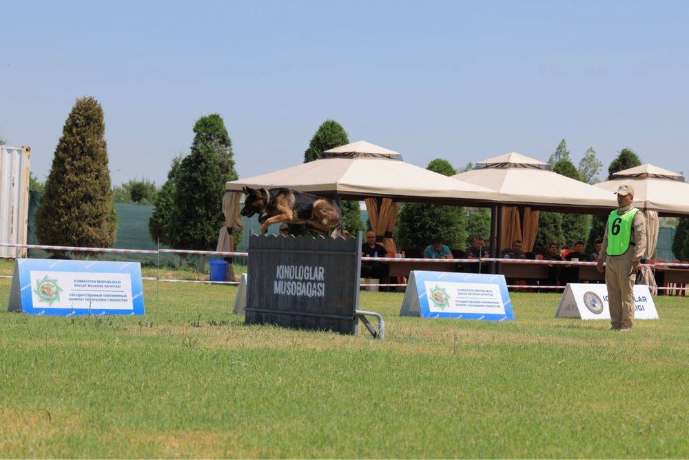 Продам навес шатер с занавесками