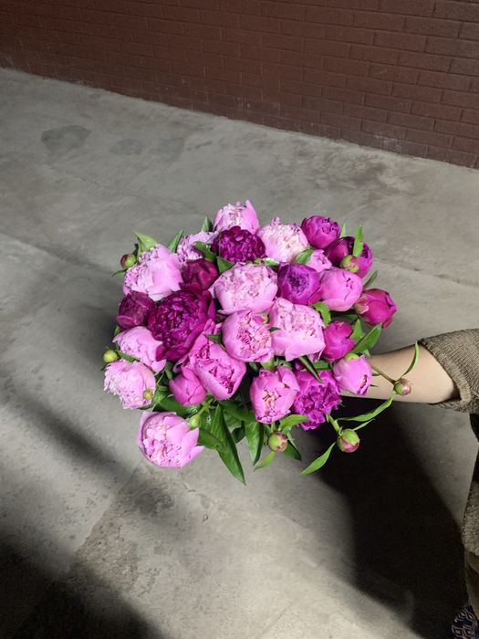 Предзаказ на пионы (начало мая)