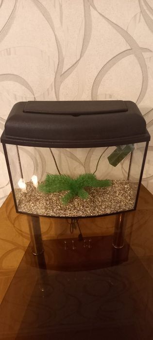 Подставка и аквариум