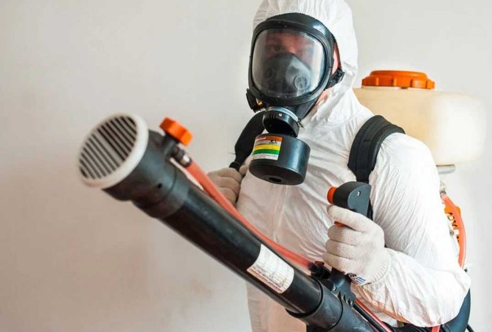 Дезинфекция Dezinfeksiya Уничтожение тараканов клопов Дезинфекция