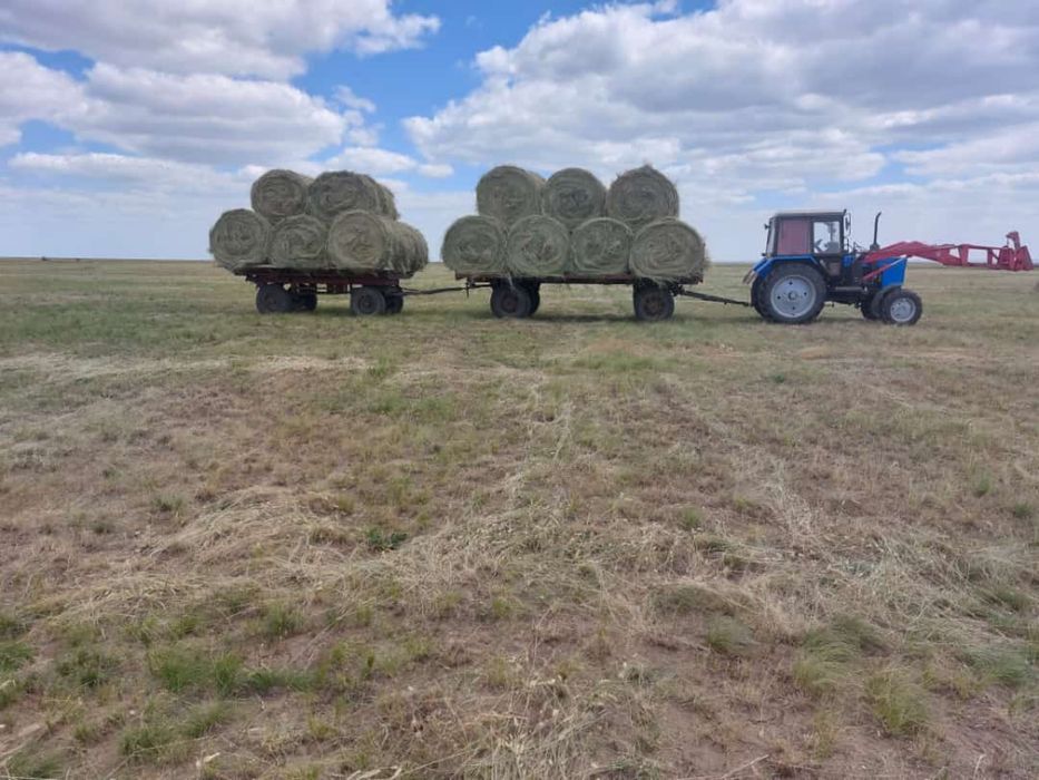 Продам сено самовывоз