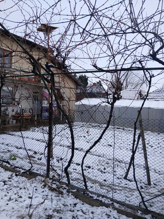 Продава се Къща в с. Василовци, Област Монтана - 170 кв.м за 195 €/кв.м - Снимка #8