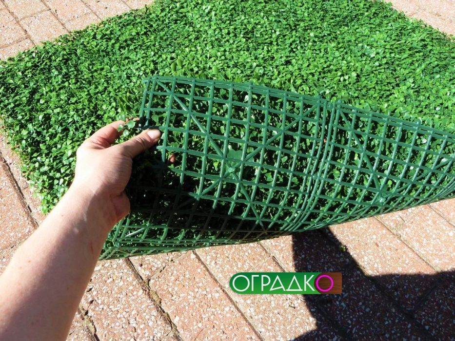 Декоративни оградни пана. Жив плет, бръшлян, чемшир. Най-ниските цени!