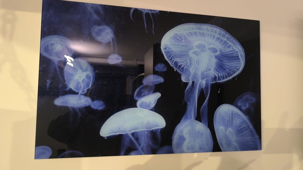 Tablou sticla meduze