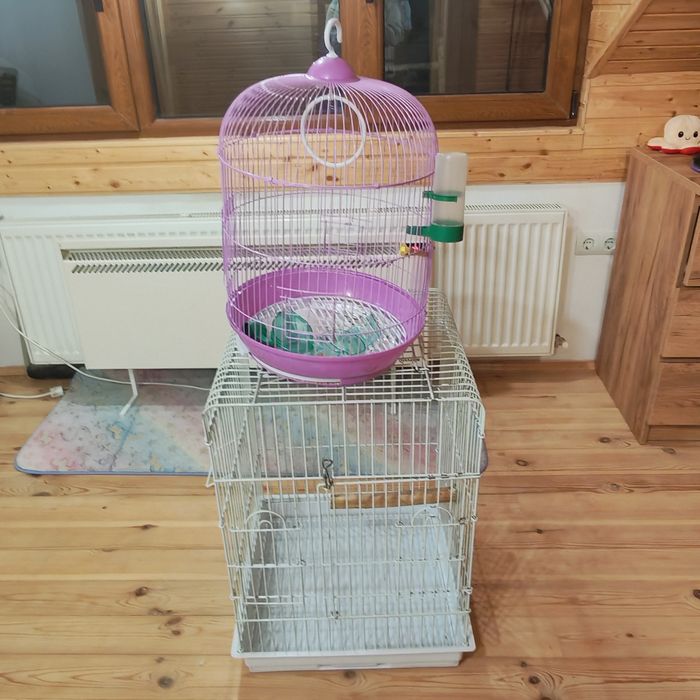 Воалиера клетка за вълнисти папагали