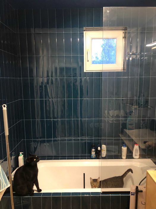 FAIANTA GREEN BLUE 9,4X28,2 / MP 10,24 (16 cutii)