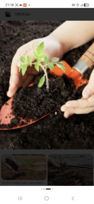 Перегной мешками