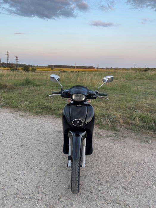 Aprilia scarabeo 50 2t 2010