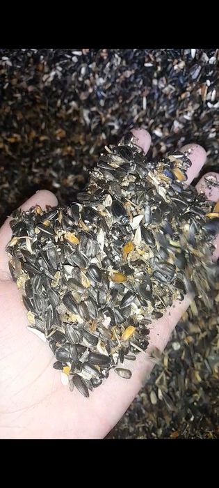 Продам отходы семечек