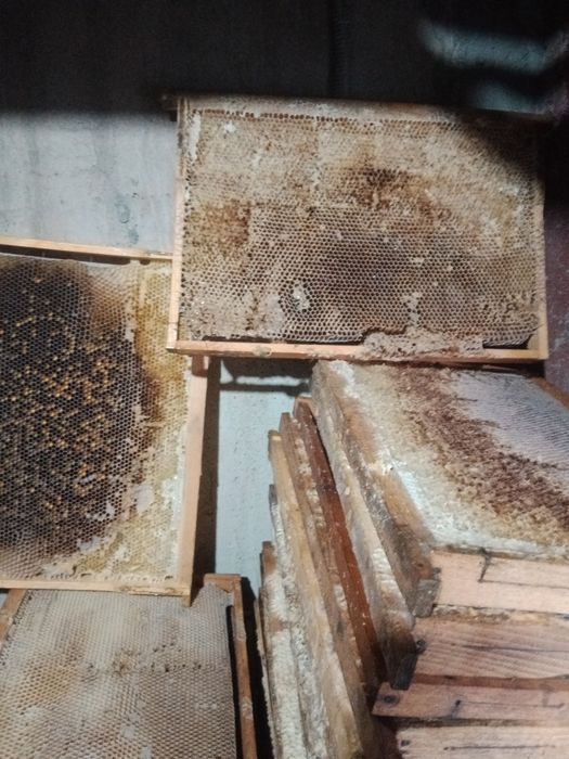 Продам суш для пчел