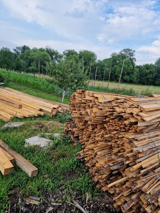 Hartepele Rășinoase Brad